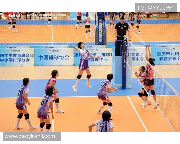 上海排球队在城市联赛中的强势表现与未来发展潜力分析